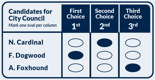 A simplified graphic showing a ranked choice ballot